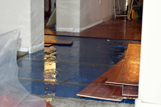 Professional Burst Pipe Cleanup technician working in Clayton, MI