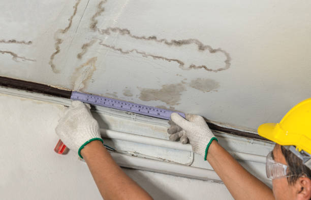 Reliable Burst Pipe Cleanup contractor in Clayton, MI by Local Water Damage Repair